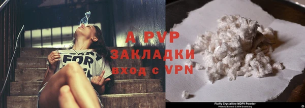 крисы Алзамай