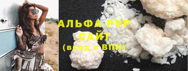 крисы Алзамай